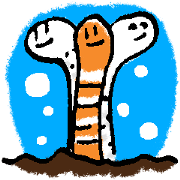 Splendid garden eel Life