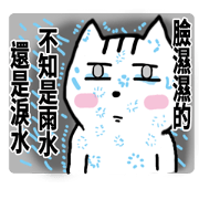 chao hu cat part10