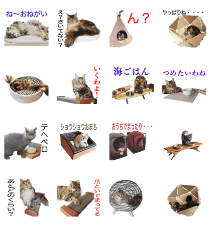 DecoraMeow Sticker