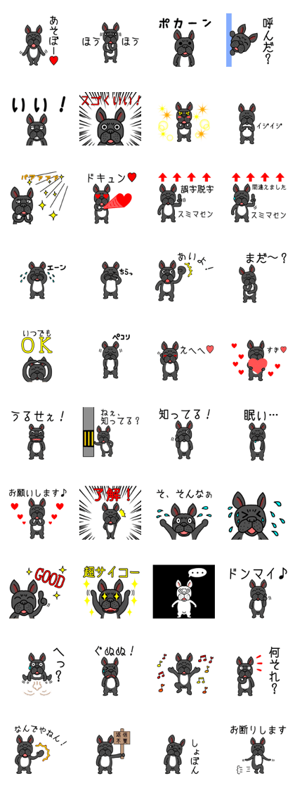 French is bulldog 3