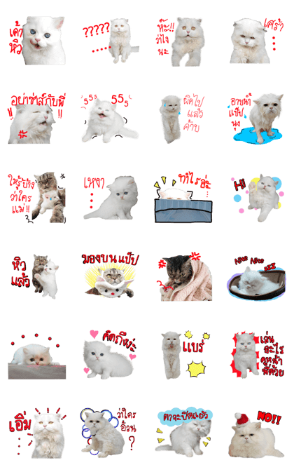 nekowhite
