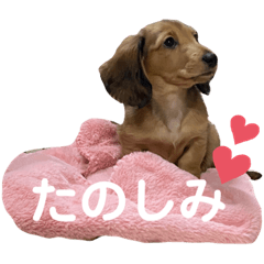 sherry_20210216171405