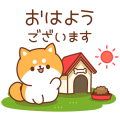 Answer Shiba Dog 7