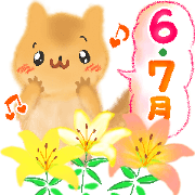 Japanese early summer features!
