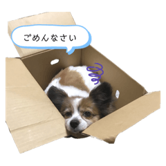 nanami_20210216191151