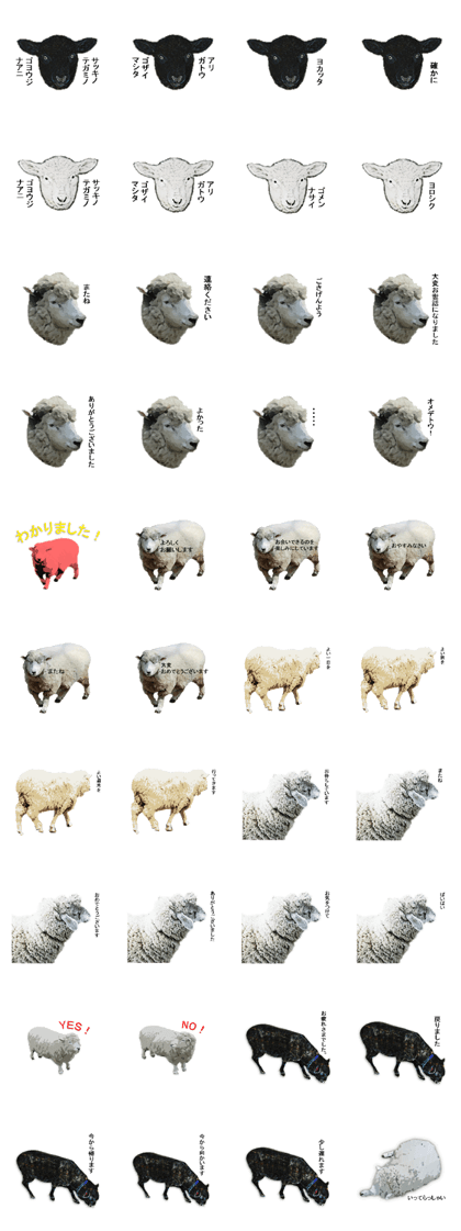 40 stickers of sheep