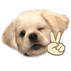 hikari_20210216212938