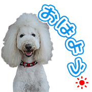 KIKI and JIJI'S Sticker