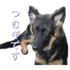 Hannah_20210216225636