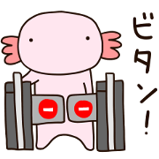 Upata Axolotl