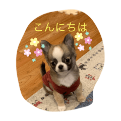 yuto122912