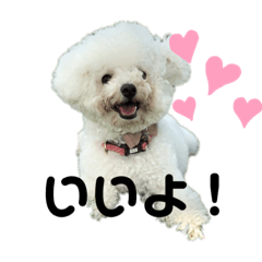 HARUNA_20210216182420