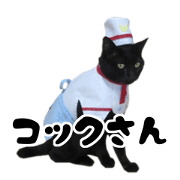 Kosuchoko. Cooker version