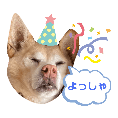 Tomomi_20210216222102