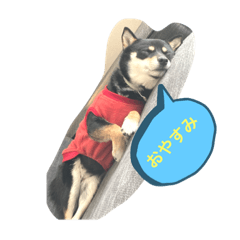 YUTO_20210217011050
