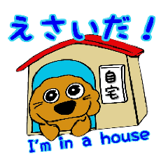 Toy poodle of the Country(Tsugaru Ver.1)