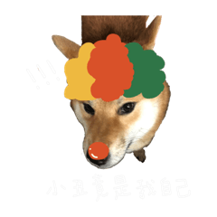 柴犬兩津表情包2