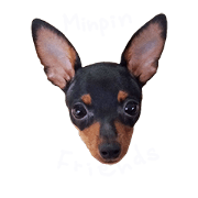 LeiMomoFriends