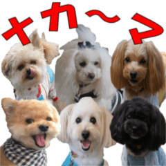 yuzuponzu Friend dog Sticker vol.1