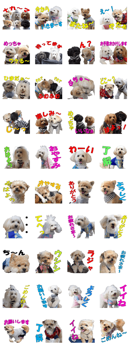 yuzuponzu Friend dog Sticker vol.1