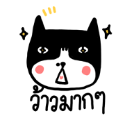 Cat Boring2