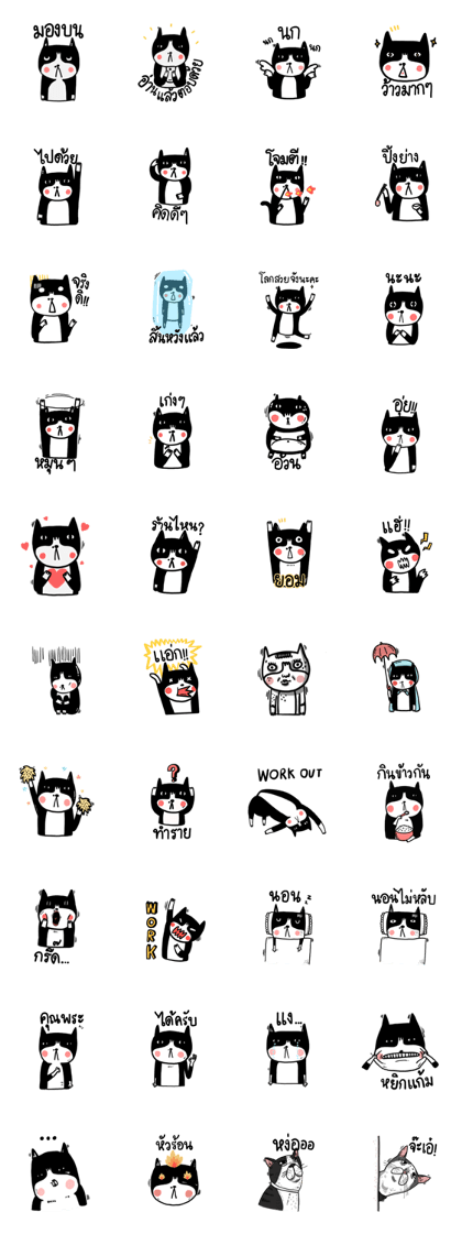 Cat Boring2