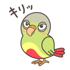 A parakeet named Jiu -PART2