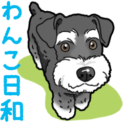 Wanko-Biyori miniature schnauzer 3