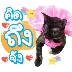 Nong Foitong v.1