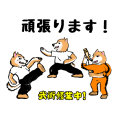Shiba dog Kenji Shiba.  Martial arts
