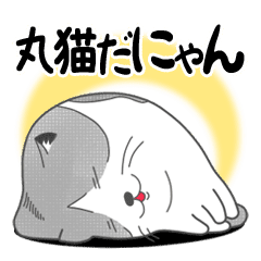 丸猫だにゃん Line スタンプ Line Store