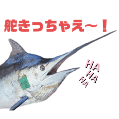 LINDA_20210217211359