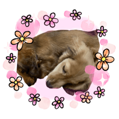 sherry_20210217223833