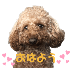 moko_2021021723072999