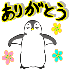 Drily penguin