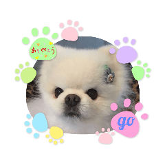 arisa_20210218003008