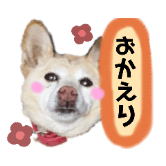 Tomomi_20210218011233