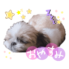 miki_20210217213259