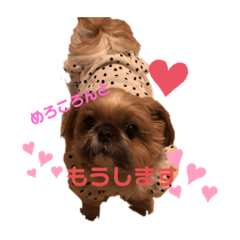 yuka_20210217221220