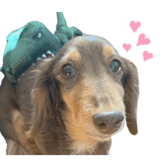 Mizuki_20210217231333