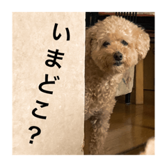 Haruna_20210218004458