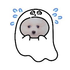 Somsom_20210217193656