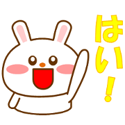 Words that white rabbits often use