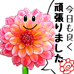 可愛い過ぎない大人シンプルなお花4 労い Line スタンプ Line Store 可愛い過ぎない大人シンプルなお花4 労い Line スタンプ Line Store