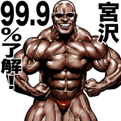 Miyazawa dedicated Muscle macho sticker