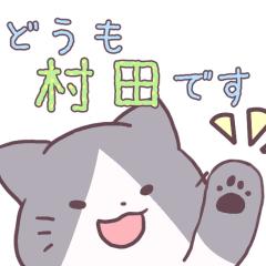 This cat is Mr.Murata
