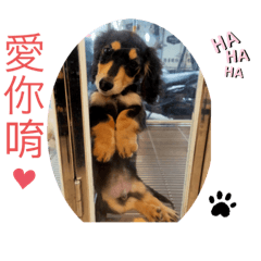 我是可愛的勾錐