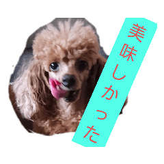 KII_20210218124833