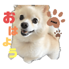 mizuki_20210218125542