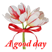 One day with flowers